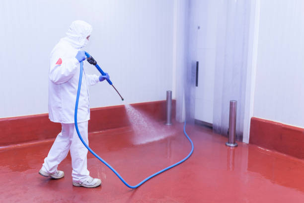 Best Graffiti Removal  in San Miguel, CA